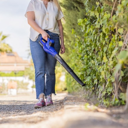 SOPLADOR LITIO GOODYEAR