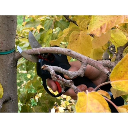 Tijera electrónica a batería ZM 25 ZANON