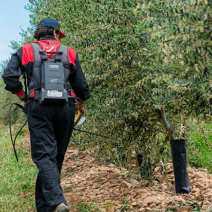 Batería multifunción DRIVE 2004.S ZANON