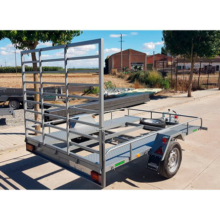 REMOLQUE BUGGY SPEEDREM