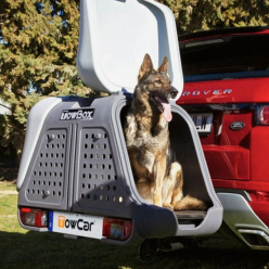 TOWBOX V2 DOG 2