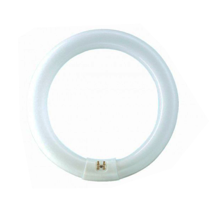 TUBO FLUORESCENTE CIRCULAR