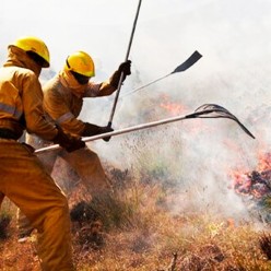 ApagaFuegos Telescopico Homologado para Cosechadoras 2