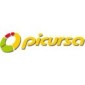 PICURSA